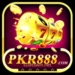 PKR888 Game