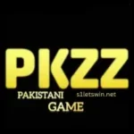 PKzz Game