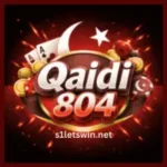 Qaidi 804 Game