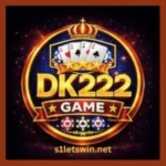 Dk222 Game